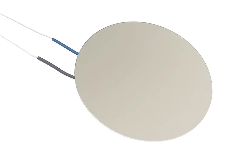 Piezoelectric Ceramic FT-27H-2.7A1-W045 back.jpg