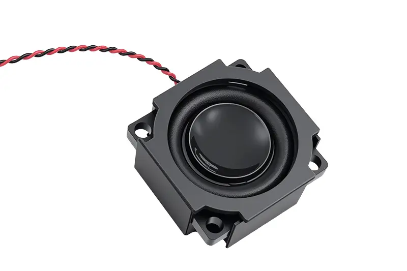 Box Speaker BLS2828-04H13.5-W100-BOX.jpg